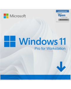 Windows 11 Pro for workstation product key License digital ESD instant delivery