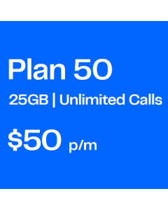 Plan 1499  - 20GB Data